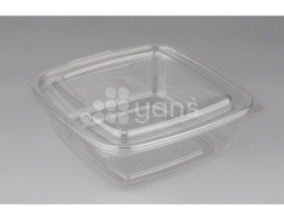 Контейнер СпК-1919-750, прозрачный (К140, Ф70)