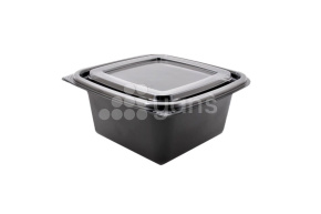 Контейнер с крышкой, для холодного, двухцветный, СПК 137